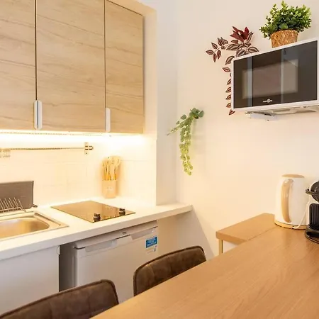 Apartment Amazing Stylish Studio, Well Located Near Metro, Bastille Neighborhood